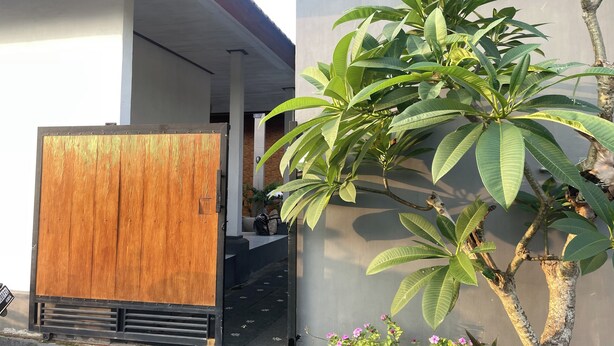 A modern building with a wooden gate, a concrete wall, and a tree with green leaves. - Zee House (Canggu)