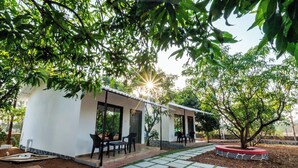 Un edificio bianco con un portico coperto, posti a sedere all'aperto e un albero sullo sfondo.