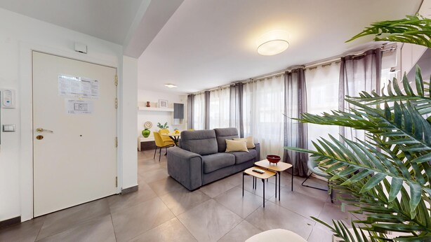 A modern living room with a grey sofa, a small table, and a potted plant. - MyFlats Premium Teatro (Alicante)