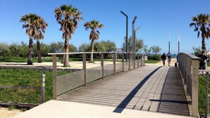 A pedestrian bridge with metal railings, palm trees, and a clear blue sky. - T3 Apartment facing the sea with terrace and private parking in Sète (Sète)