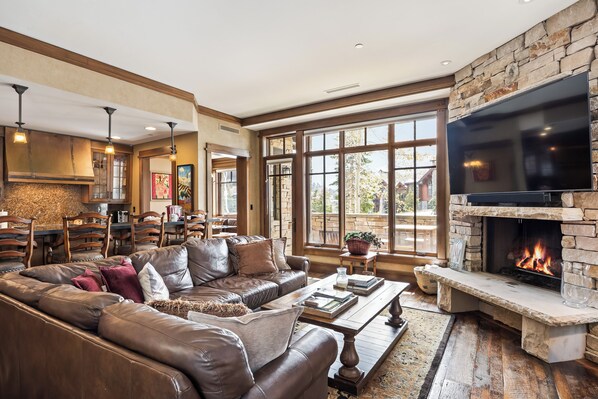 Smart TV, fireplace, books