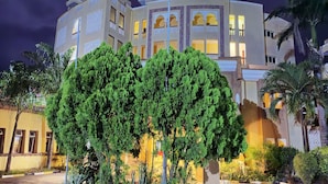 Un edificio de varios pisos con un patio interior, que cuenta con un árbol grande y diversas plantas.
