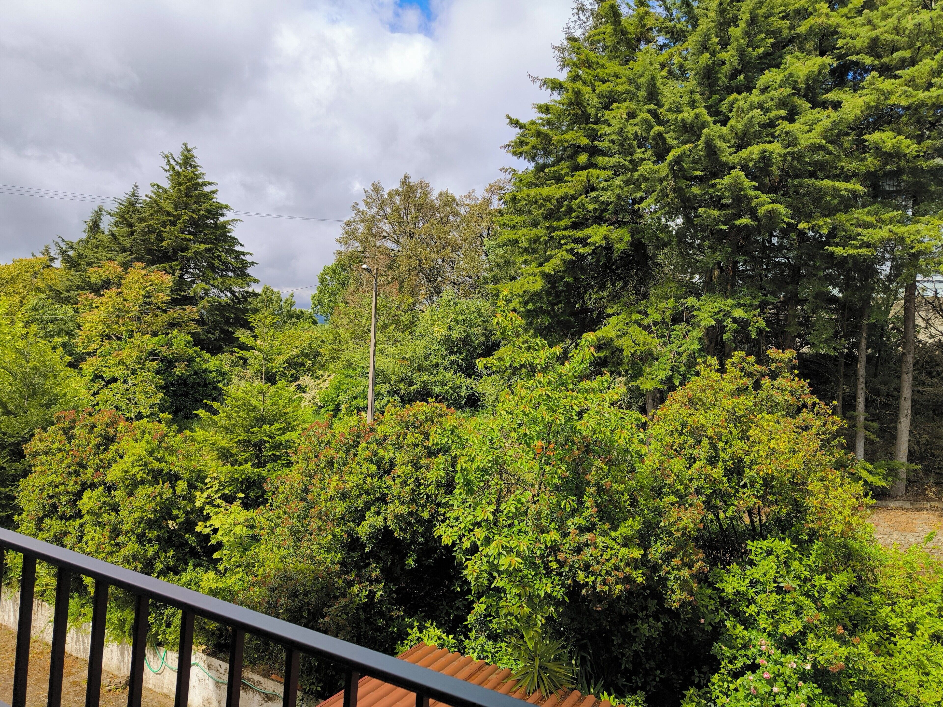 A balcony with a view of dense green trees and a cloudy sky.