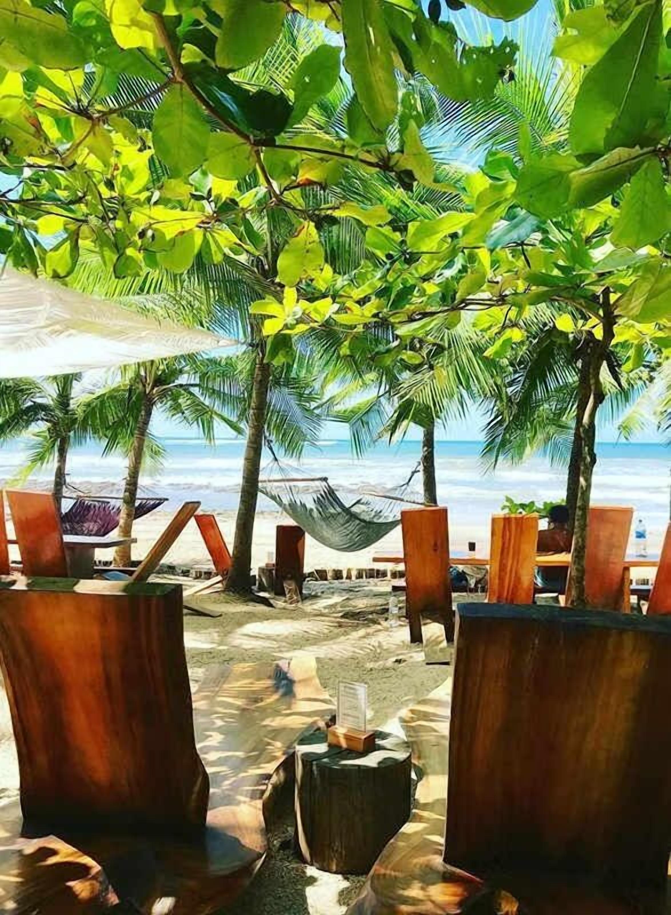 A beachside seating area with wooden chairs and a hammock under a tree, overlooking the ocean.