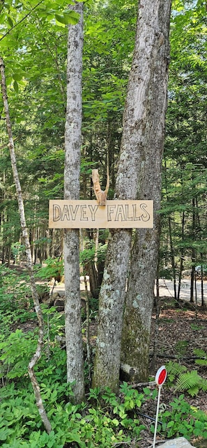 A sign reading 'DAVEY FALLS' between trees. - Nomadic Nook: Sprinter vans, small pop-ups or tents with private waterfall (Crown Point)