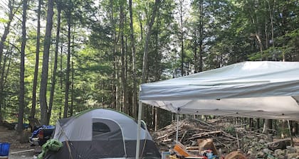 Nomadic Nook: Sprinter vans, small pop-ups or tents with private waterfall