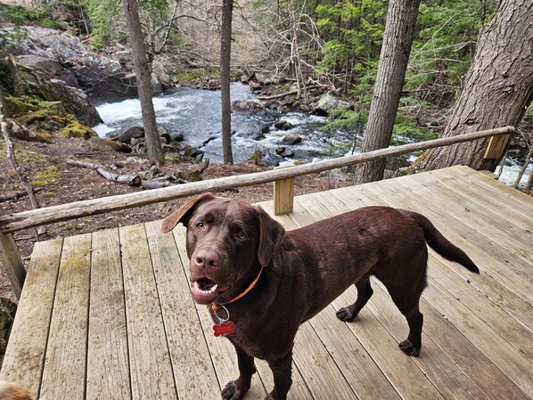 Property grounds - Waterfall Way Barn (Crown Point)