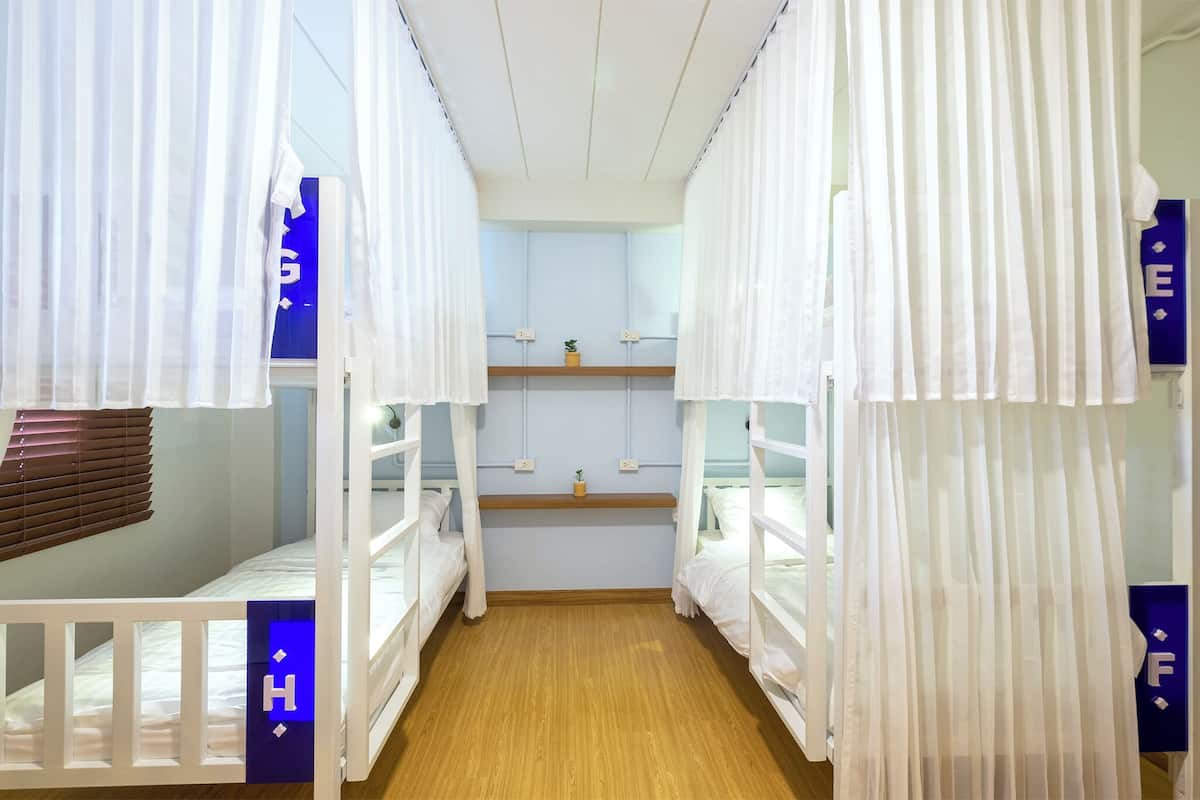 A room with bunk beds, a wooden floor, a shelf with a plant, and a window with blinds.