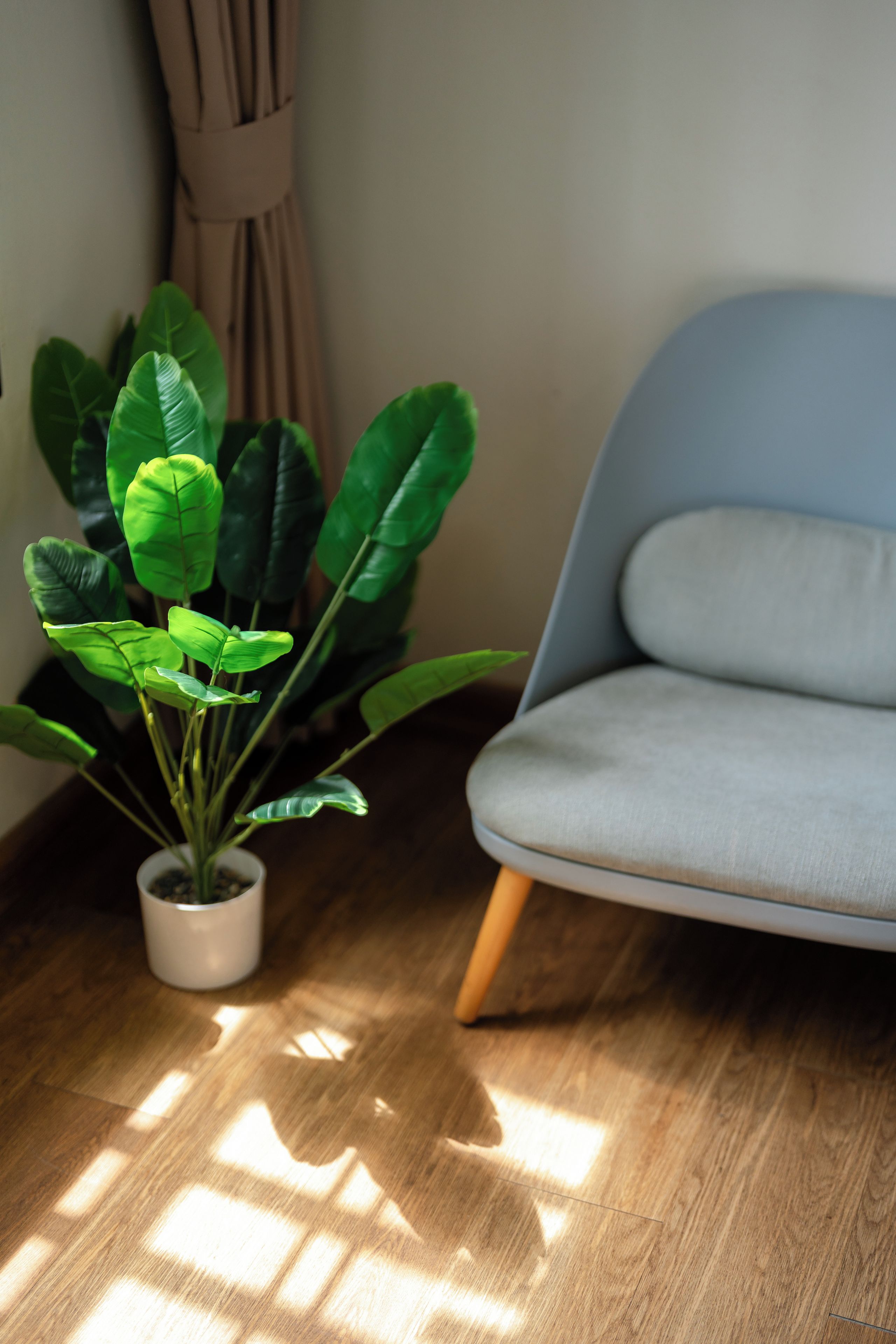 Una planta en maceta junto a una silla con cojín.