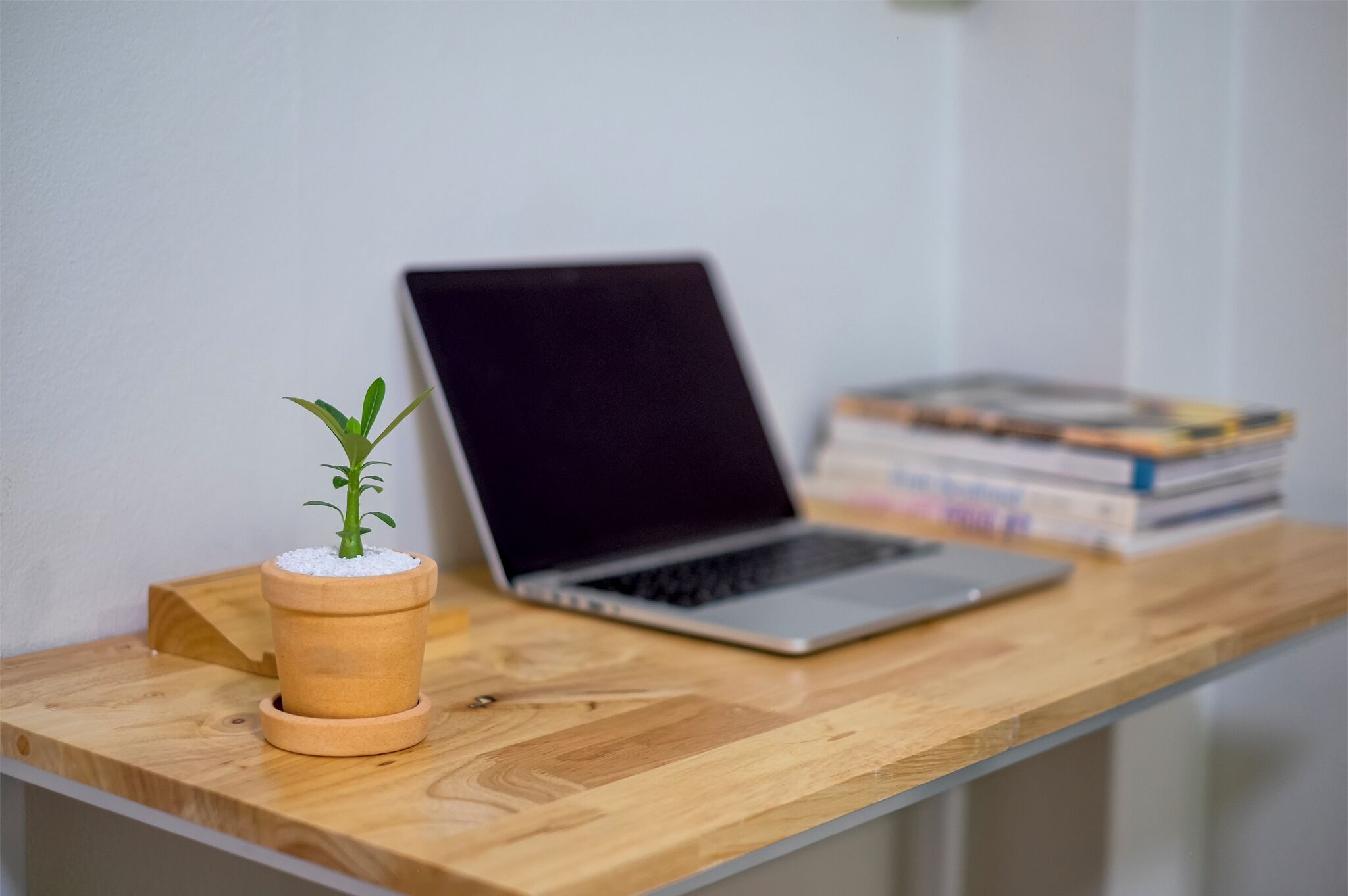 Un ordinateur portable posé sur un bureau en bois, avec une petite plante en pot et une pile de livres.