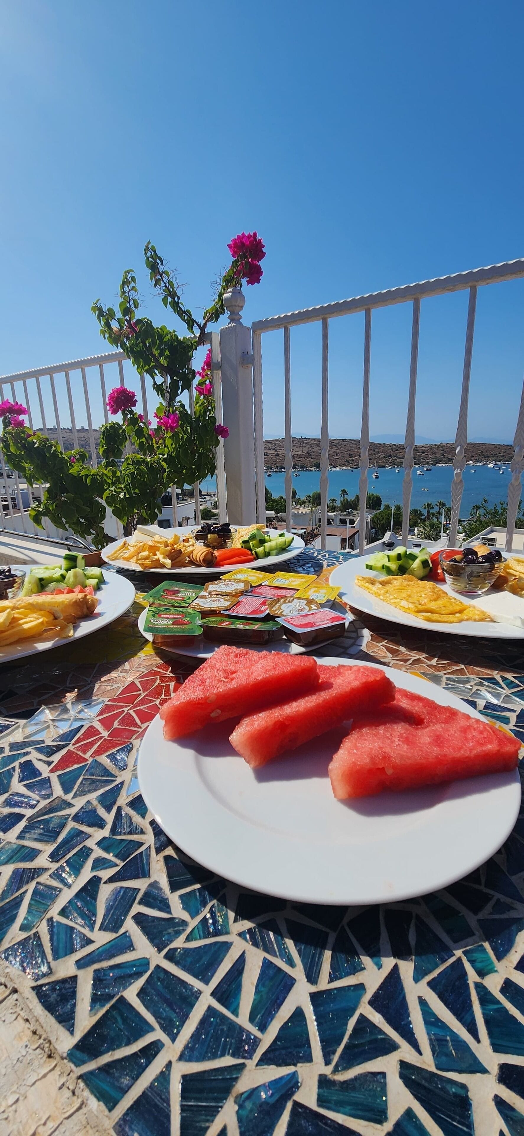 A table with various food items and a potted plant with pink flowers, overlooking a scenic coastal view.