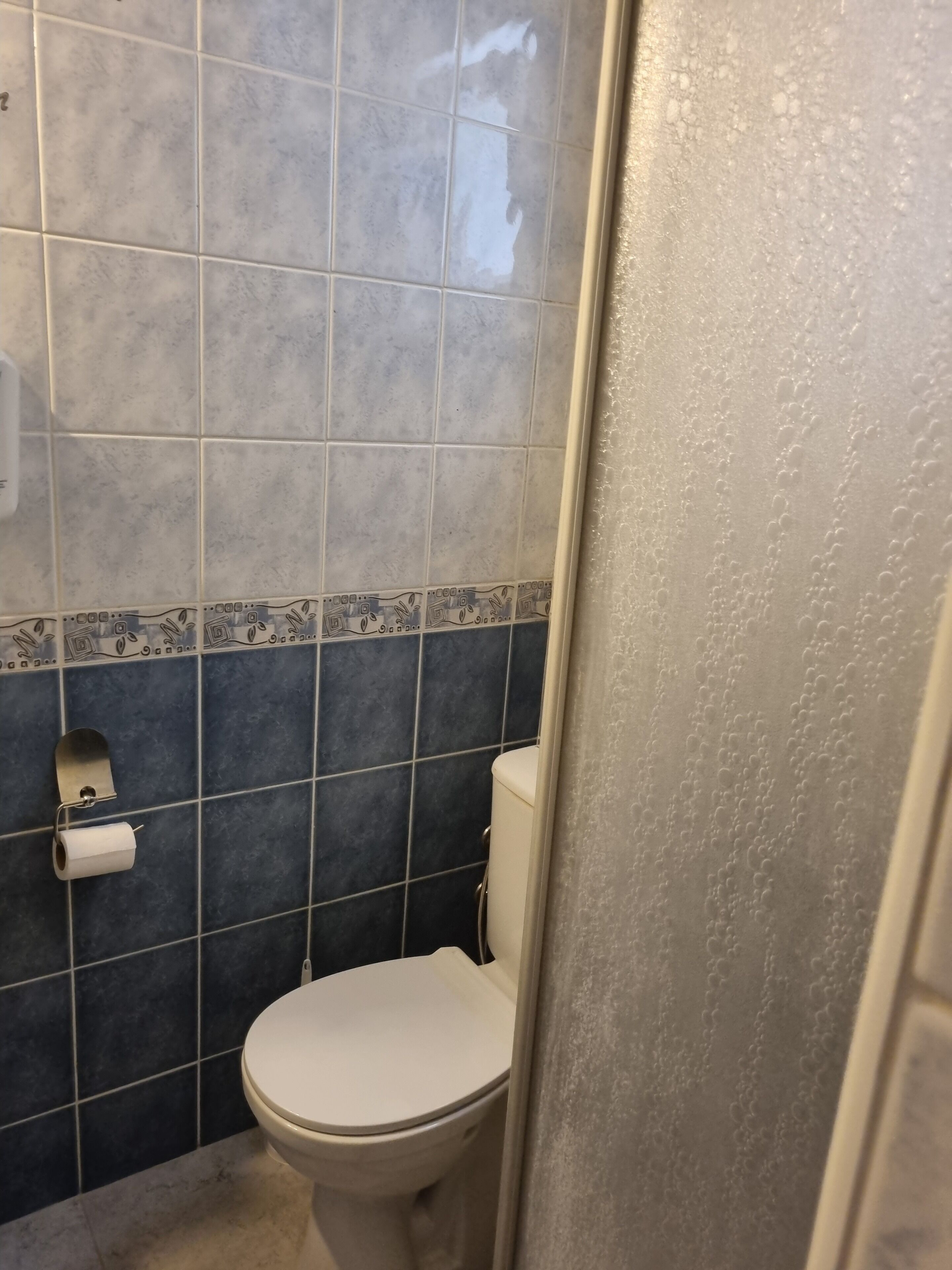 A bathroom with a toilet, blue and white tiles, and a toilet paper holder.