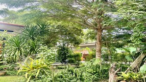 A lush garden with various plants and trees, a bench, and a building in the background. - Rider Resort and coffee (Chawang)