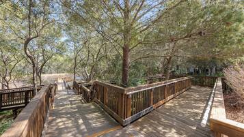 المنطقة المحيطة بالمنشأة