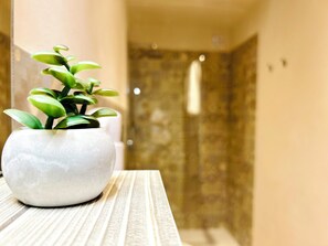 Dusche, Haartrockner, Bidet, Handtücher