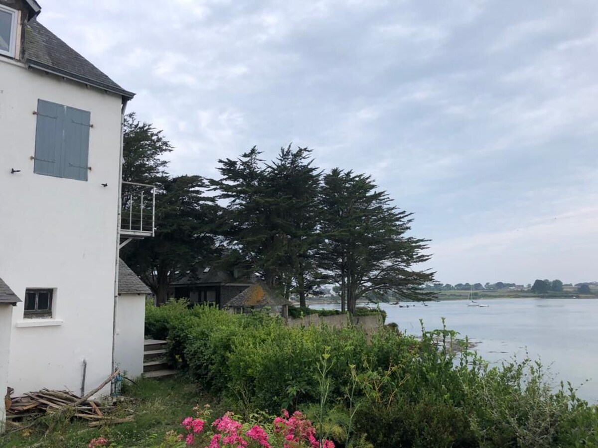 Imagen de perfil del propietario o de la propietaria