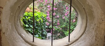 La Maison de Village au Cœur du Centre Ville Proche des Commerces et Restaurants