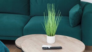 Un canapé de couleur turquoise, surmonté d’un vase blanc contenant des plantes vertes, posé sur une table ronde en bois.