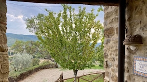 Ein Steinhaus mit Blick auf einen Baum und einen Kiesweg, der nach draußen führt.