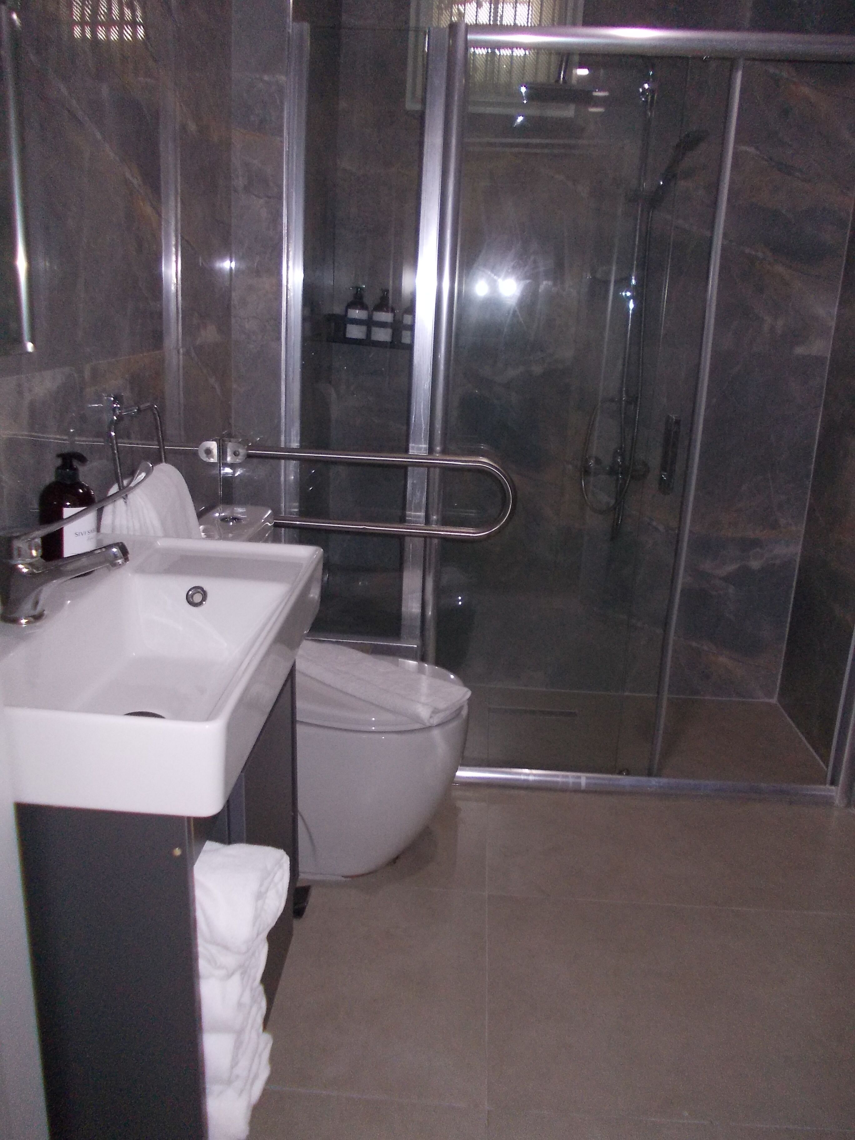 A modern bathroom with a glass shower enclosure, a white sink, and a toilet.