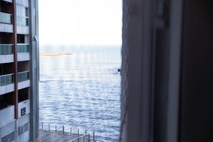 Vista desde la propiedad