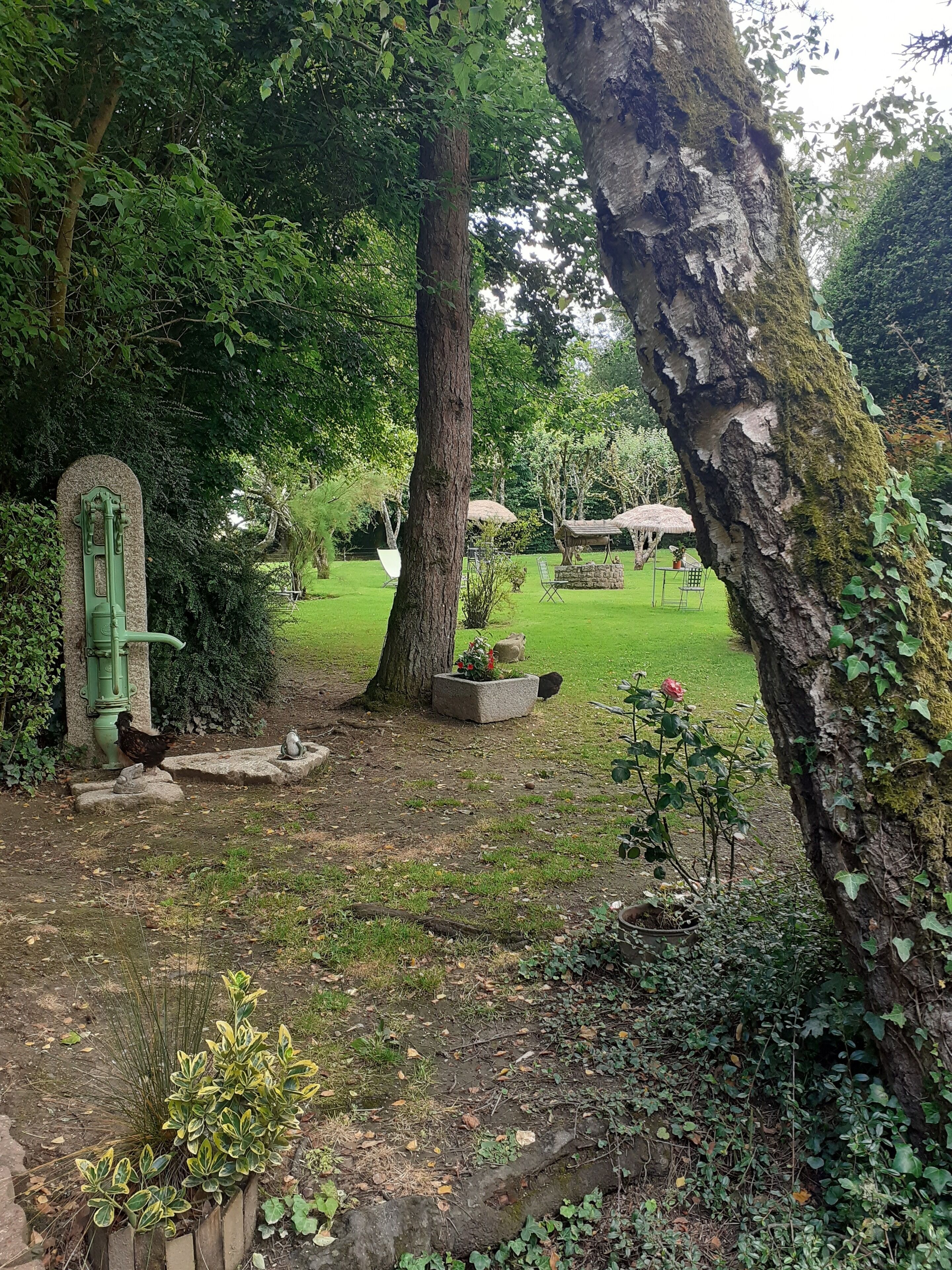 Un jardin avec un banc en pierre, un arbre et une construction à toit de chaume.