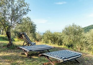 Terrain de l’hébergement 