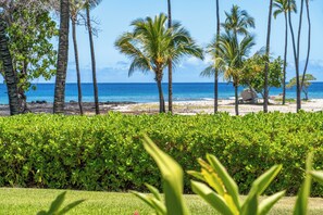 Beach - Gorgeous, Fully Remodeled Oceanfront Condo (Kamuela)