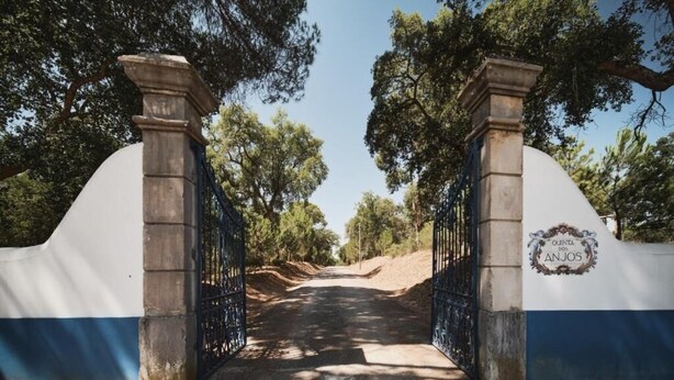 A gated entrance with a white and blue wall, flanked by two stone pillars, leading into a pathway surrounded by trees. - Quinta dos Anjos (Santarém)