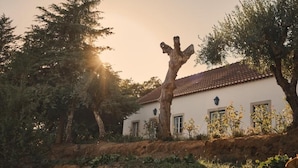 A white building with a tiled roof, surrounded by trees and vegetation. - Quinta dos Anjos (Santarém)