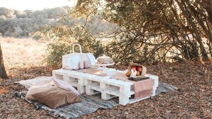 A picnic setup with a blanket, a basket, and a table with a white handbag and a glass dome. - Quinta dos Anjos (Santarém)