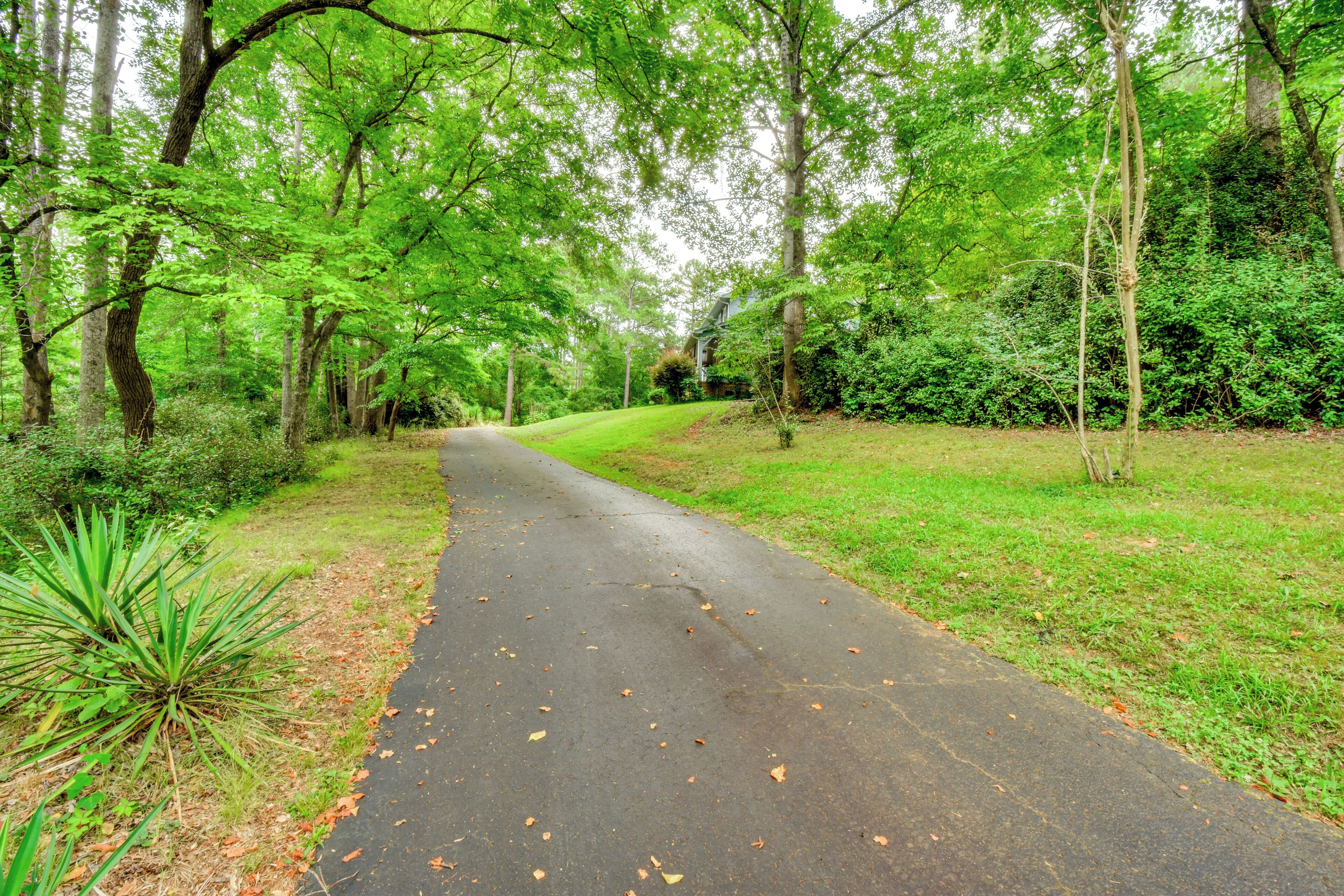 A paved pathway surrounded by lush greenery and trees.