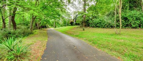 A paved pathway surrounded by lush greenery and trees.