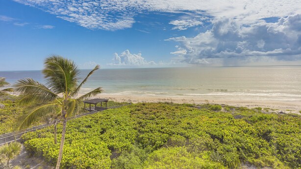 A beach with lush greenery, a palm tree, and a clear view of the ocean. - Oceanfront Fort Pierce Condo: Pool & Beach Access! (Fort Pierce)