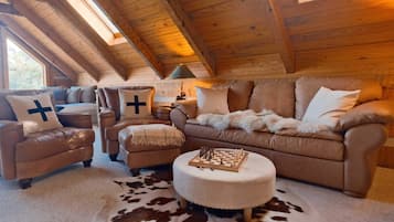 TV, lareira, livros, escritórios