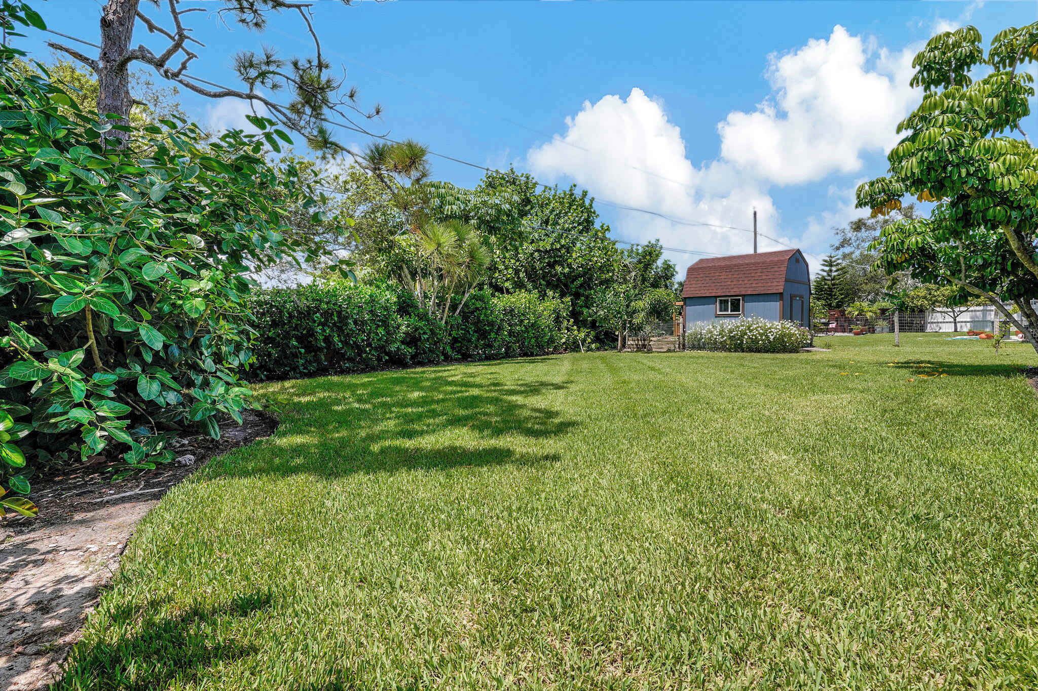 A residential property with a well-maintained lawn, a small house with a red roof, and dense foliage surrounding the area.