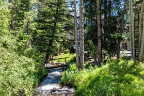 Property grounds - Location! Walk To Town. Hike or Ski in/Out! (Breckenridge)