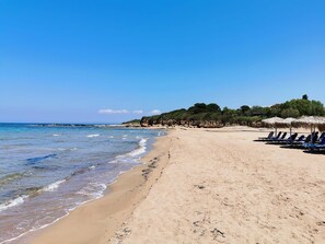 Strand