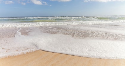 Beacher's Lodge 307 | Beachfront Views & Easy Access to Pool!