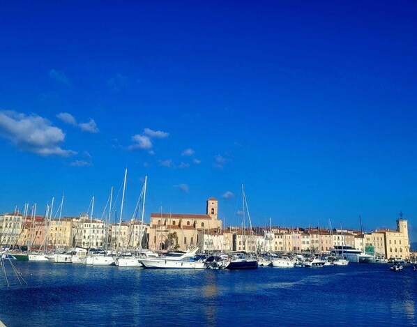 A marina with numerous sailboats docked, a prominent tower, and a row of buildings with a mix of architectural styles.