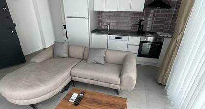 Calba Suite