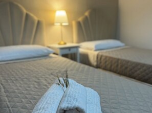 2 camere, una cassaforte in camera, una scrivania, ferro/asse da stiro