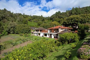 Una casa de techo rojo, rodeada de exuberante vegetación y un jardín.
