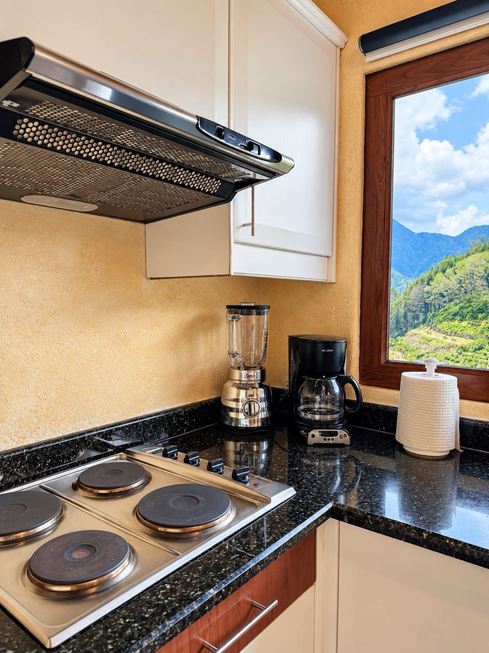 A kitchen with a stove, blender, coffee maker, and a window with a mountain view.