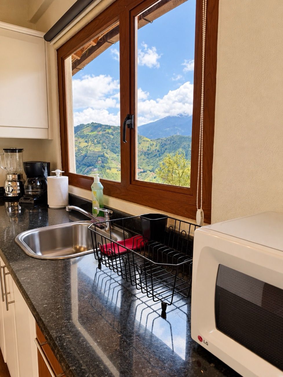 Una cocina con vista a un paisaje montañoso a través de una ventana, un microondas, un fregadero y una cafetera.
