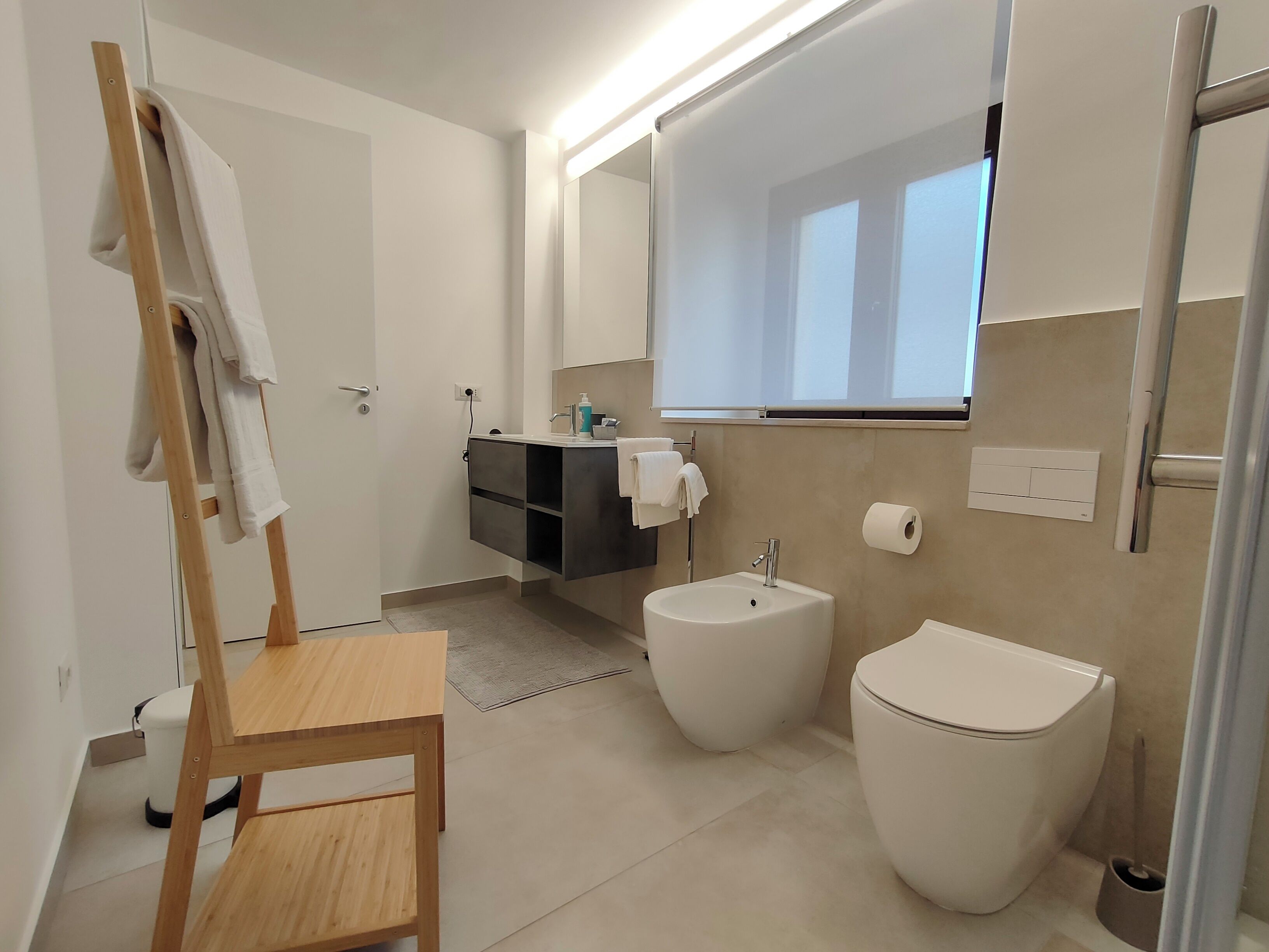 Shower, hair dryer, bidet, towels