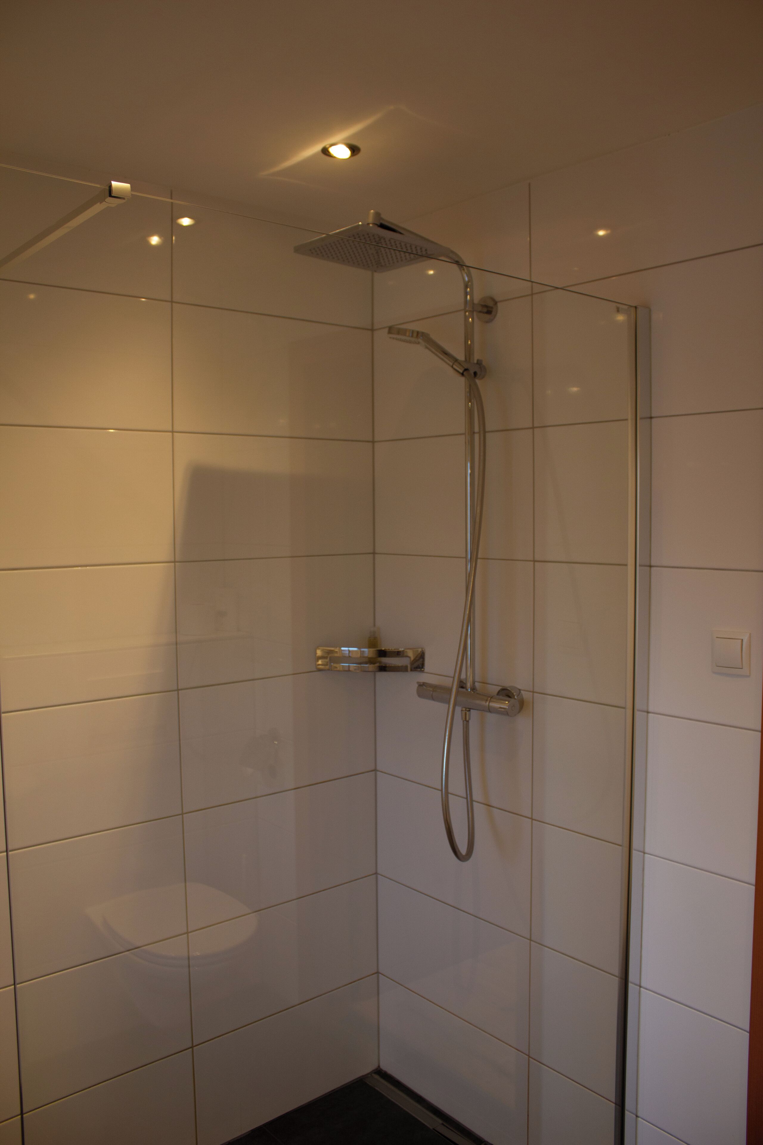A modern shower with a glass door, a handheld showerhead, and a wall-mounted control panel.