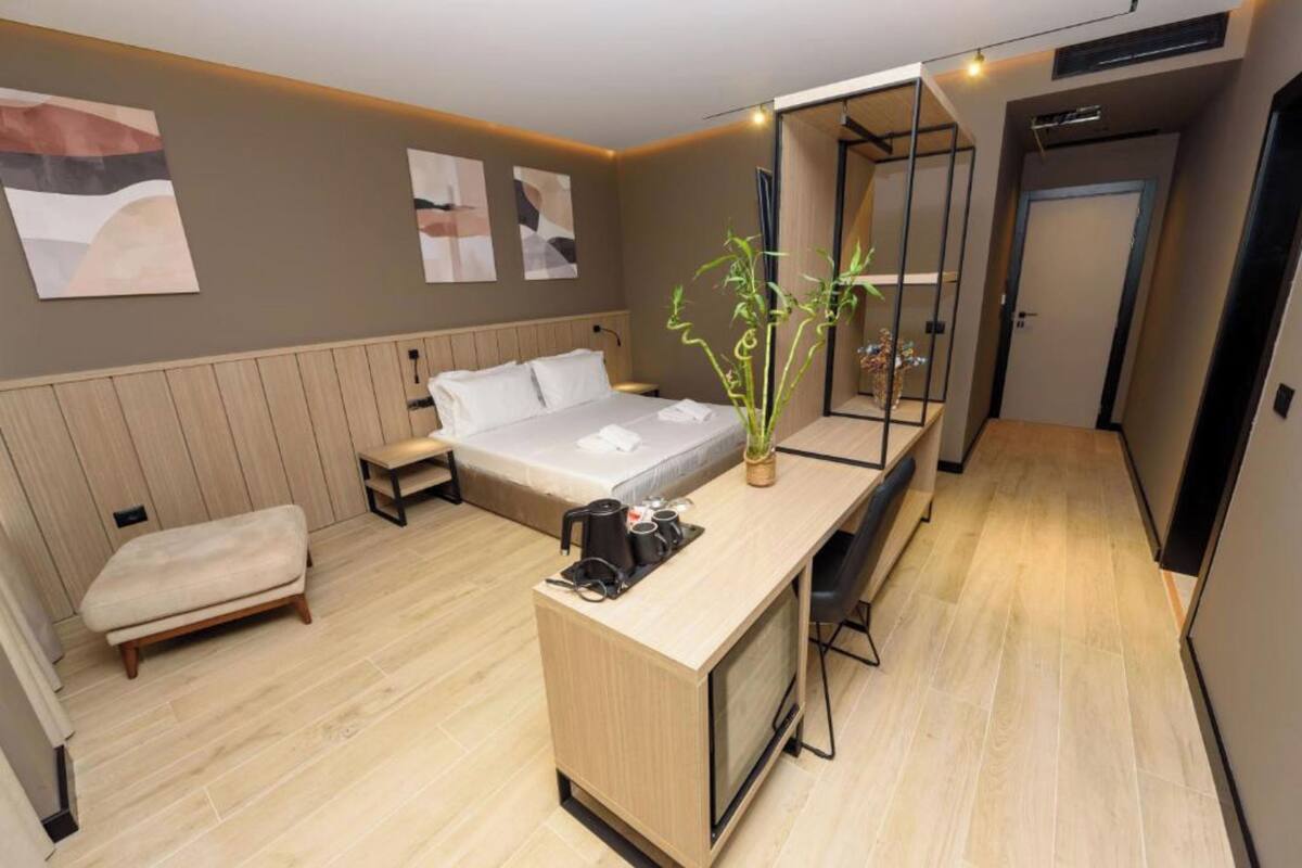 A compact hotel room with a bed, a small seating area, a desk with a TV, and a potted plant.