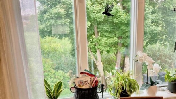 Un espace repas comprenant une table, des chaises et des plantes en pot.