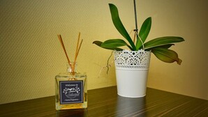A bottle of home fragrance and a potted plant on a wooden table.